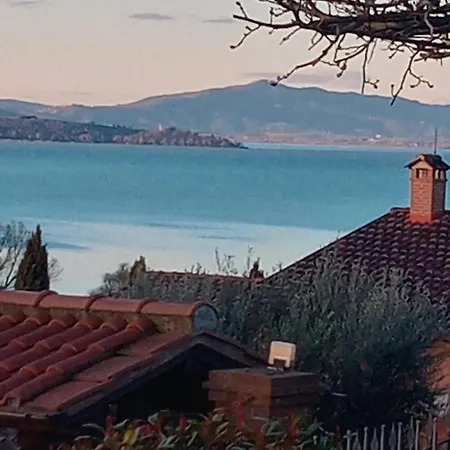 Olivo Bonsai Pensión 3*