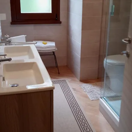 Olivo Bonsai Passignano sul Trasimeno