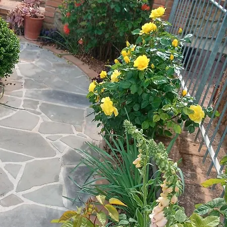 Guest house Olivo Bonsai