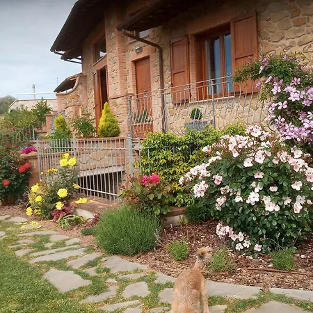 Guest house Olivo Bonsai